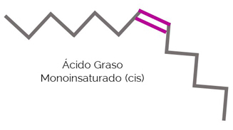 grasas saludables grasa monoinsaturada