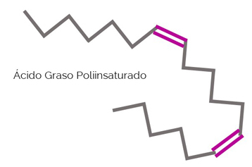 grasas saludables grasa poliinsaturada